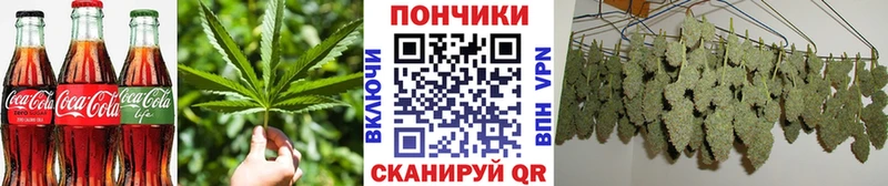 как найти закладки  Пикалёво  Печенье с ТГК марихуана 