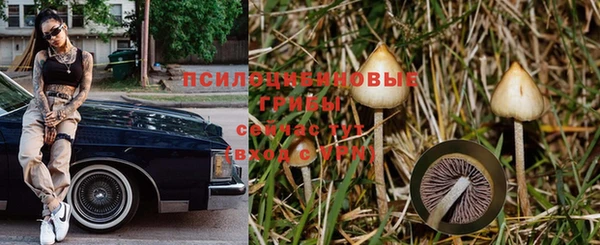 гидропоника Алексин