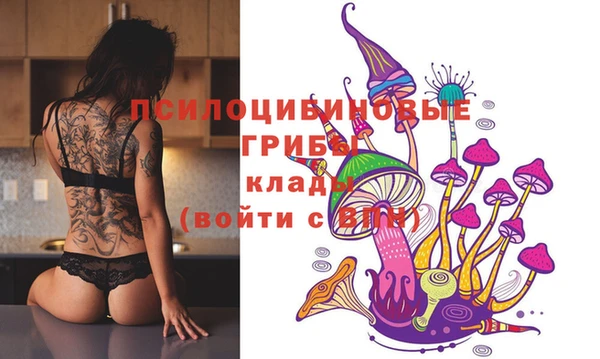MDMA Алексеевка