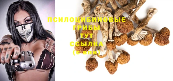 гидропоника Алексин