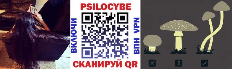 дарнет шоп  Пикалёво  Псилоцибиновые грибы GOLDEN TEACHER 